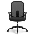 Ergonomic Task Office Chair