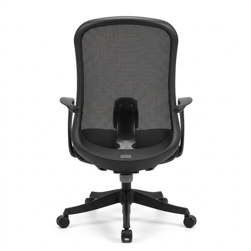 Ergonomic Task Office Chair